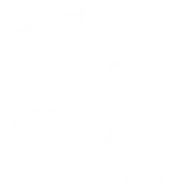 Seasonal category icon